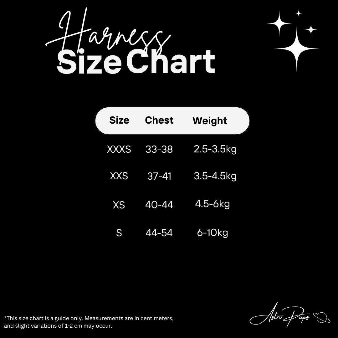 Out of This World Harness