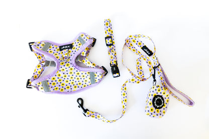 Sunflower Tails Bundle