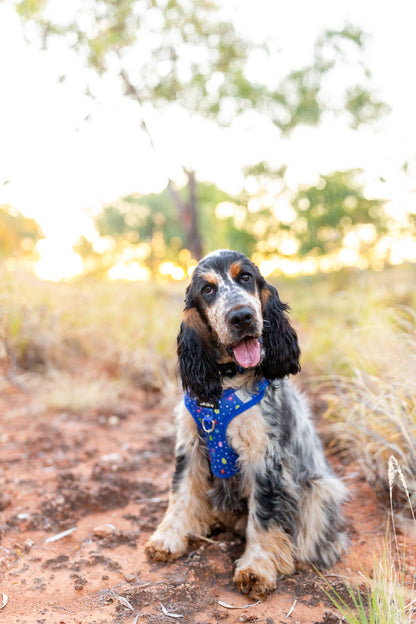 Among Us Harness