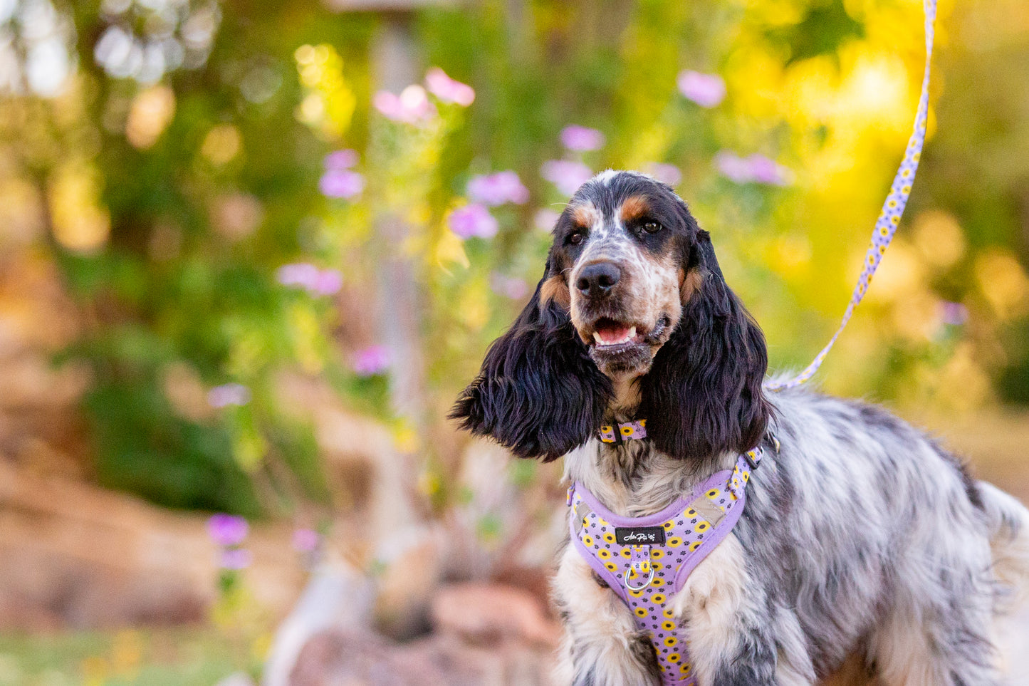 Sunflower Tails Harness