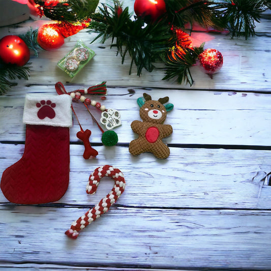 Santa Paws Stocking Bundle 🎅🐾