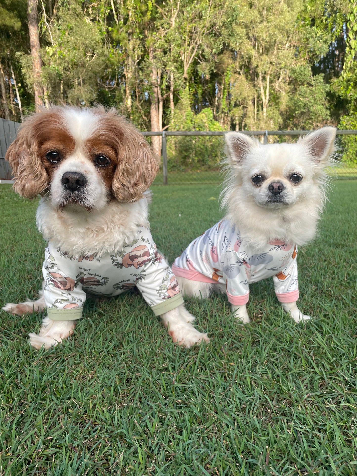 Pupjamas