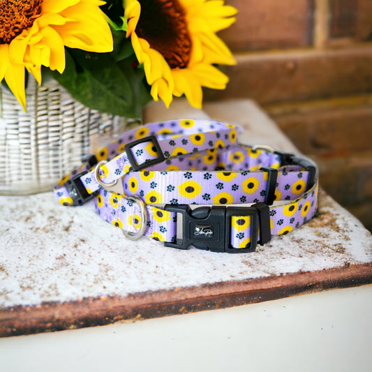 Sunflower Tails Collars