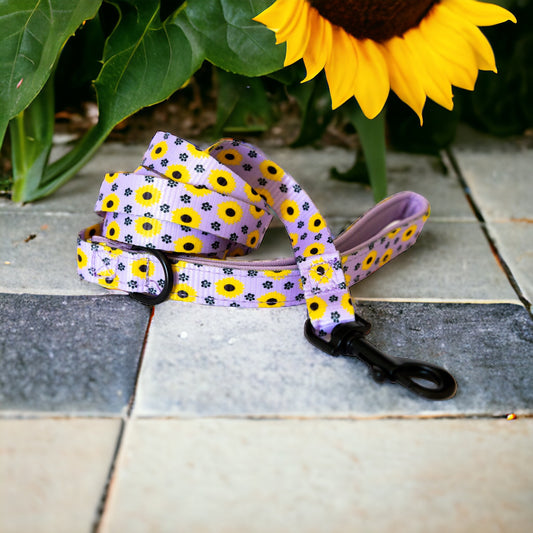 Sunflower Tails Leash