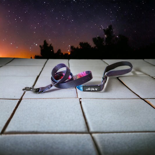 Out of This World Leash